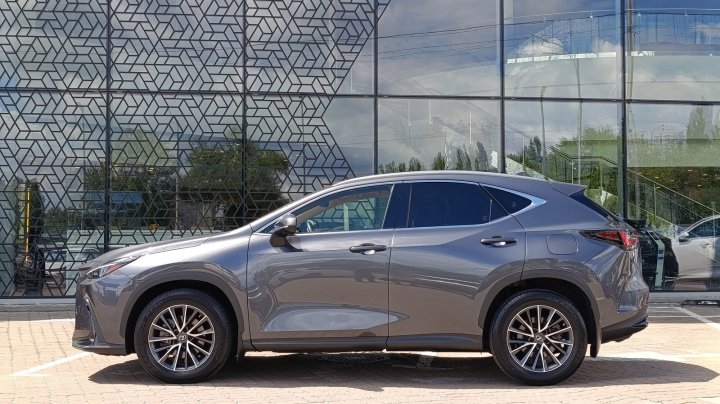 Lexus Nx Executive 2021