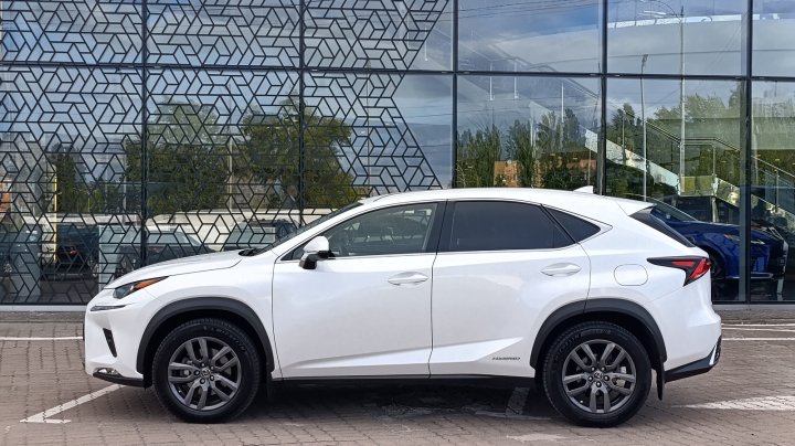 Lexus Nx Executive + 2019