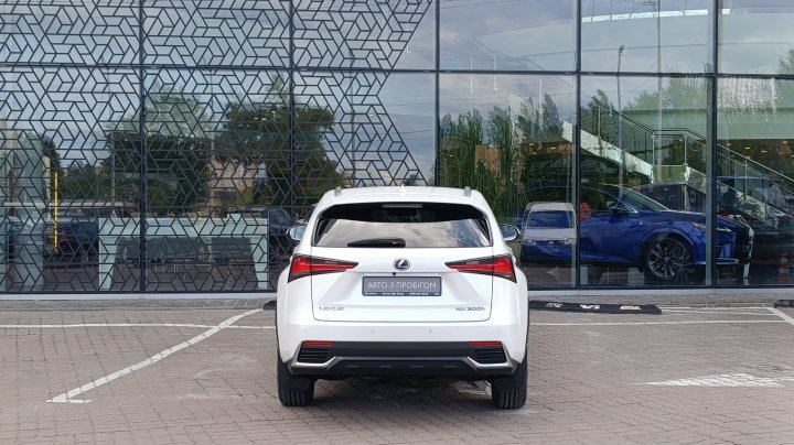 Lexus Nx Executive + 2019