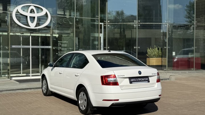 Skoda Octavia Live 2019