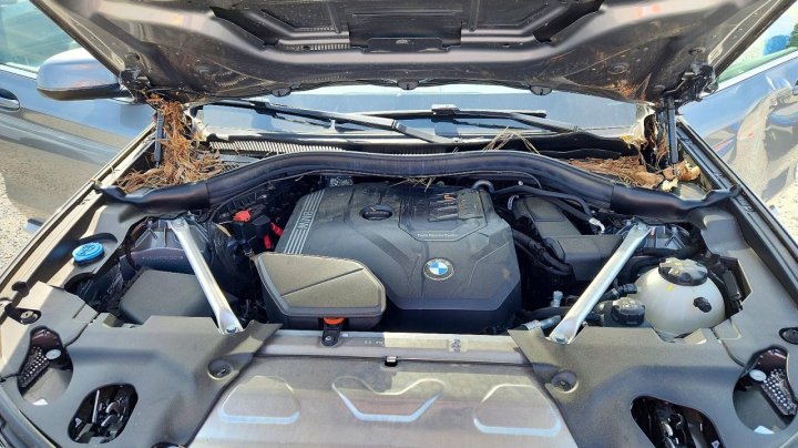 BMW X3  2024