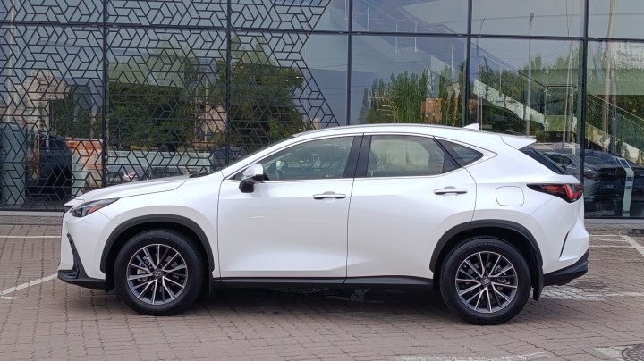 Lexus Nx Business 2022