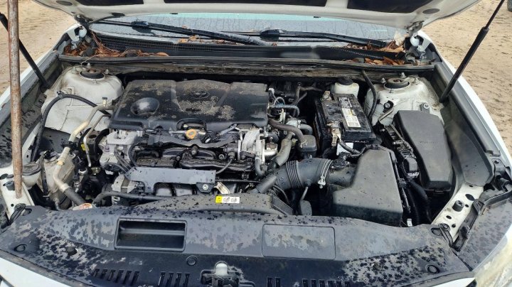 Toyota Camry Xle 2019