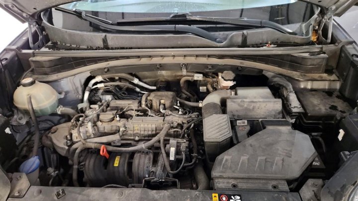 KIA Sportage Lx 2019