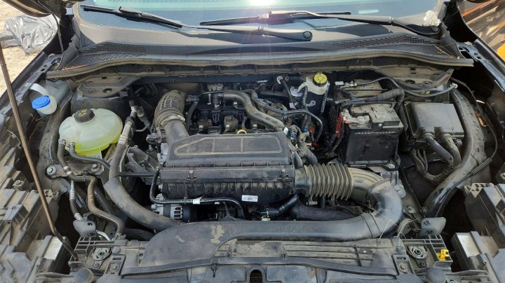 Ford Escape Active 2024