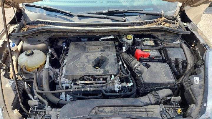 Ford Escape Se 2020