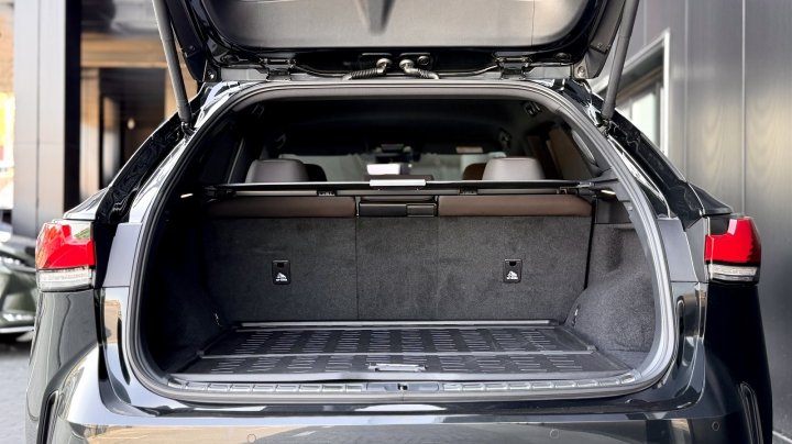 Lexus Rx Luxury 2025