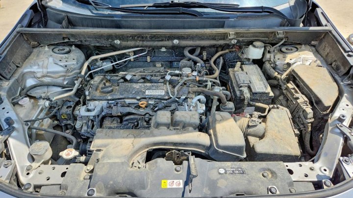 Toyota RAV4 Le 2023