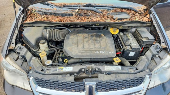 Dodge GRAND Caravan Se 2018