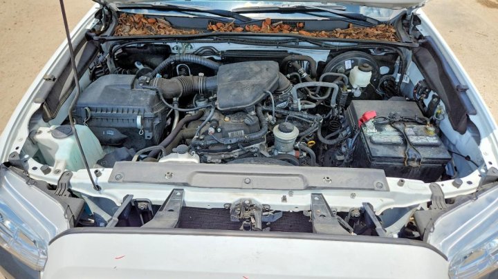 Toyota TACOMA Sr 2023