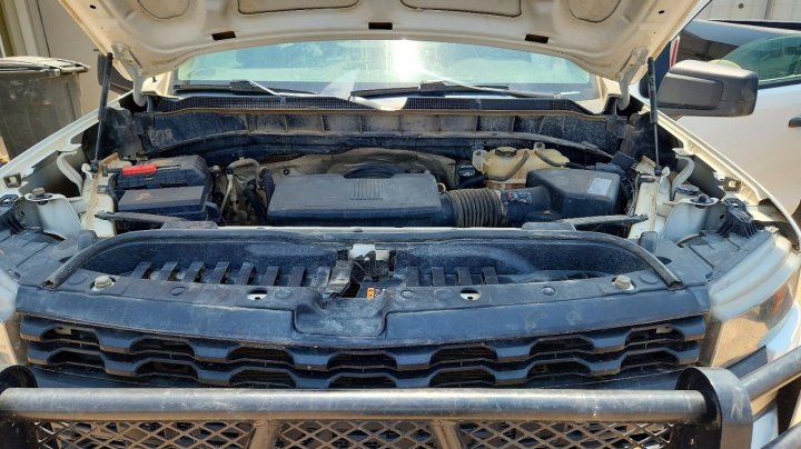 Chevrolet Silverado K1500 2020