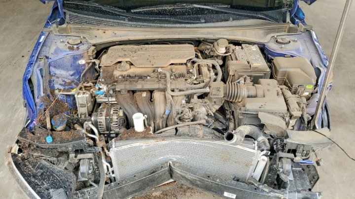 Hyundai Elantra Sel Sport 2026