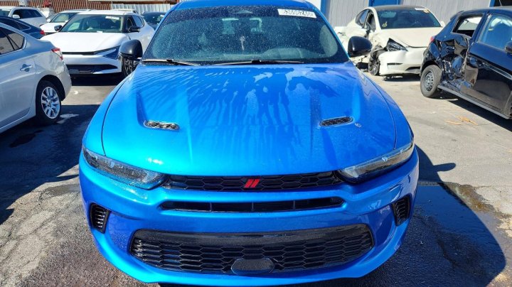 Dodge HORNET R/T 2024