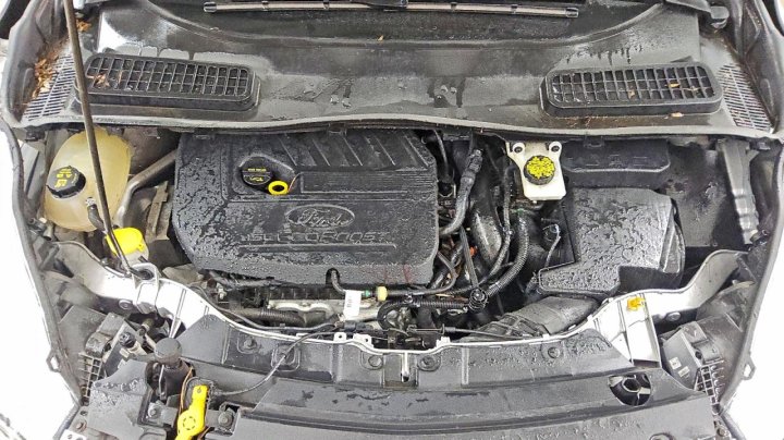 Ford Escape Sel 2019